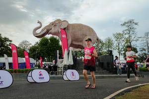 BIB: 
                            <button type="button" onclick="openModal(26528612)" class="btn btn-primary btn-sm float-right btn-popup" data-toggle="modal" data-target=".modal-high-quality">
                        <i class="fas fa-shopping-cart"></i> Add to Cart
                    </button>
                                            <button type="button" onclick="isThisMe(26528612, true)" class="btn btn-success btn-sm float-right btn-popup btn-isme hidden" data-toggle="tooltip" data-placement="bottom" title="นี่คือรูปของคุณใช่ไหม คลิกที่นี่เพื่อเอาเข้าอัลบั้ม">
                        <i class="fas fa-plus"></i> Add to album
                    </button>
                    <button type="button" onclick="isThisMe(26528612, false)" class="btn btn-warning btn-sm float-right btn-popup btn-isnotme hidden">
                        <i class="fas fa-ban"></i> Remove from album
                    </button>